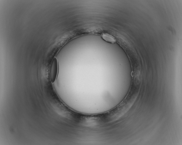 X0000113850268200909241011