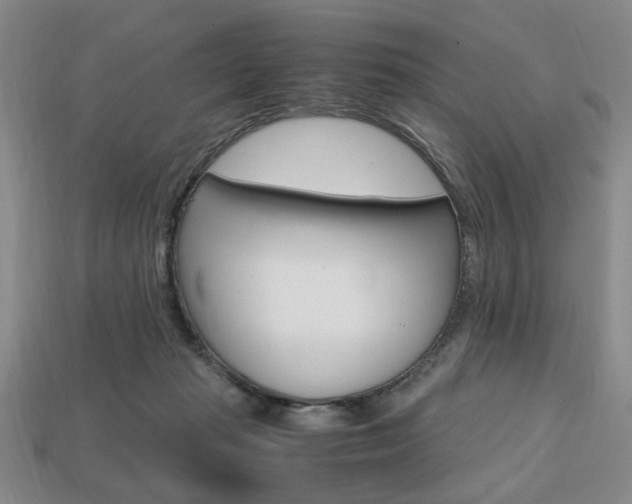 X0000113850269200909241011