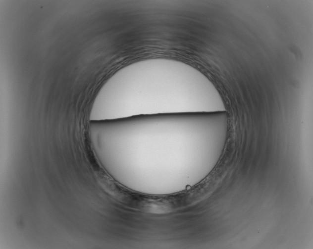 X0000113850275200909241011