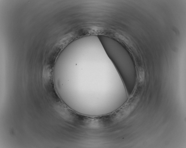 X0000113850276200909241011