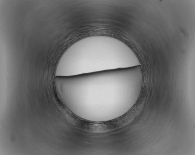 X0000113850277200909241011