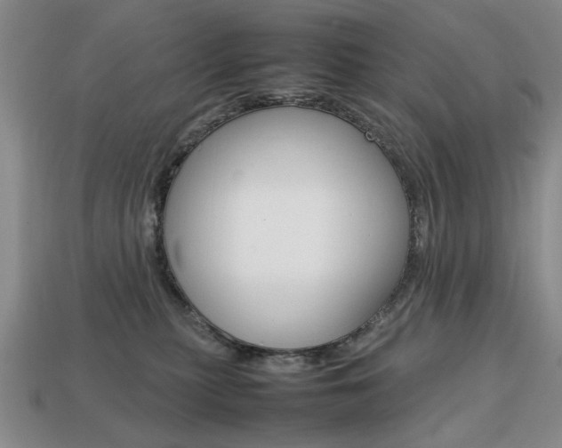 X0000113850279200909241011