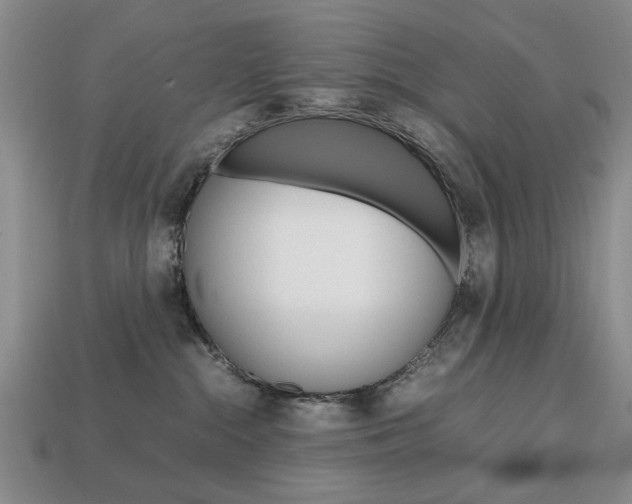 X0000113850284200909241012