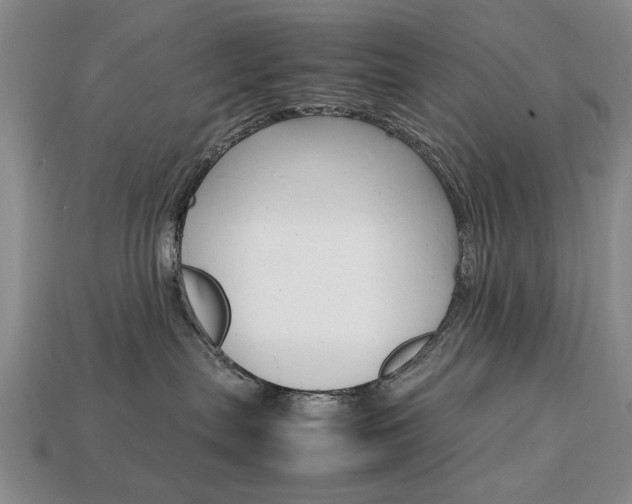 X0000113850287200909241012