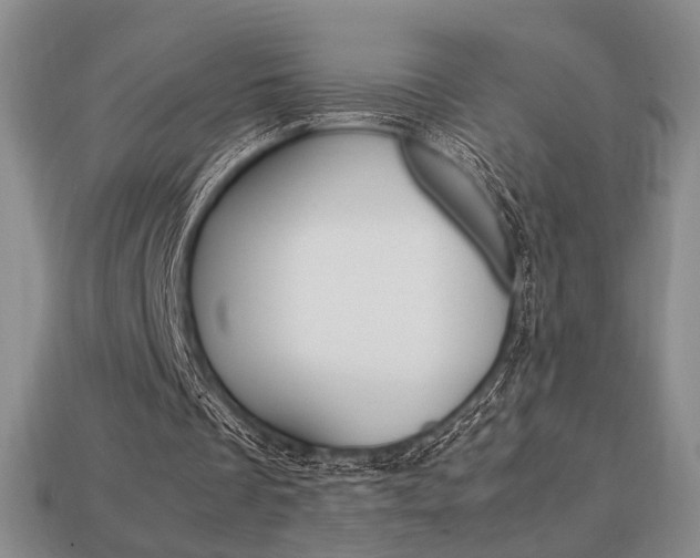 X0000113850289200909241011