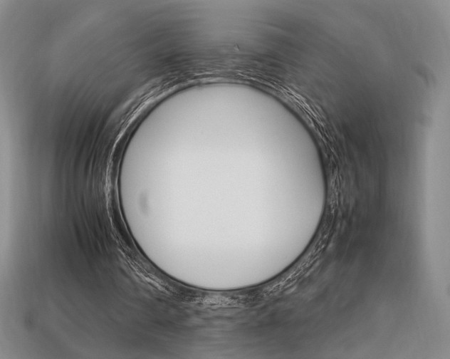 X0000113850290200909241011