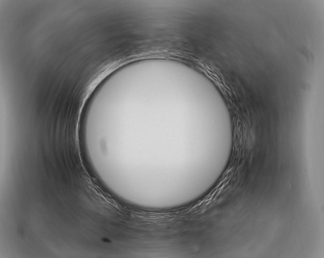 X0000113850292200909241011