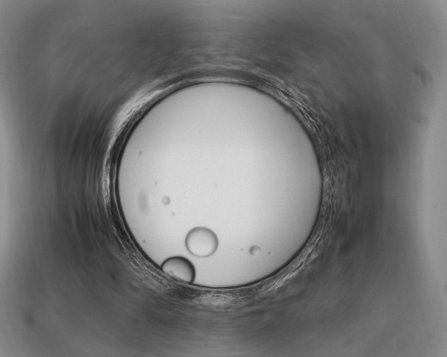 X0000113850294200909241011