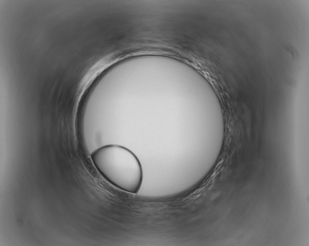 X0000113850296200909241011