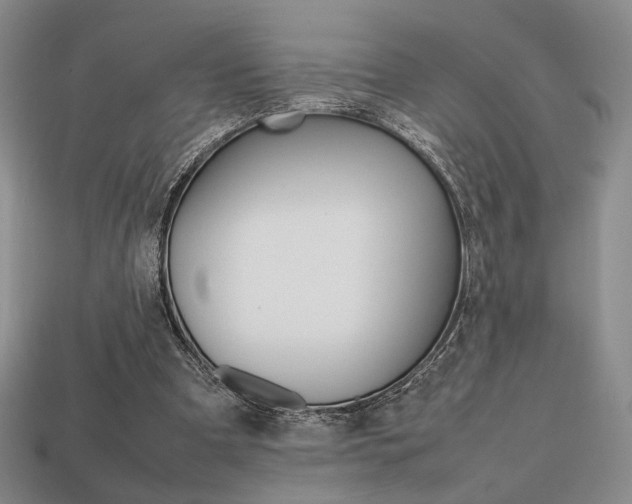 X0000113850297200909241011