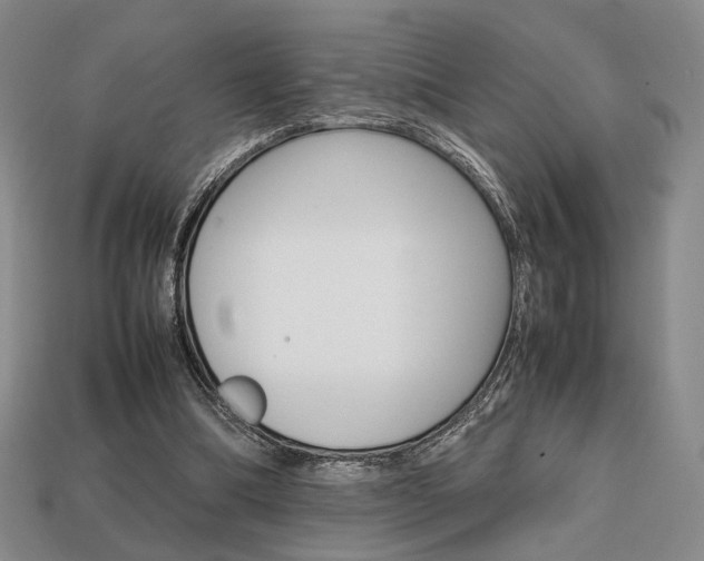 X0000113850298200909241011