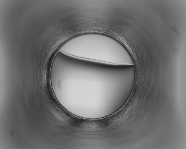 X0000113850299200909241011