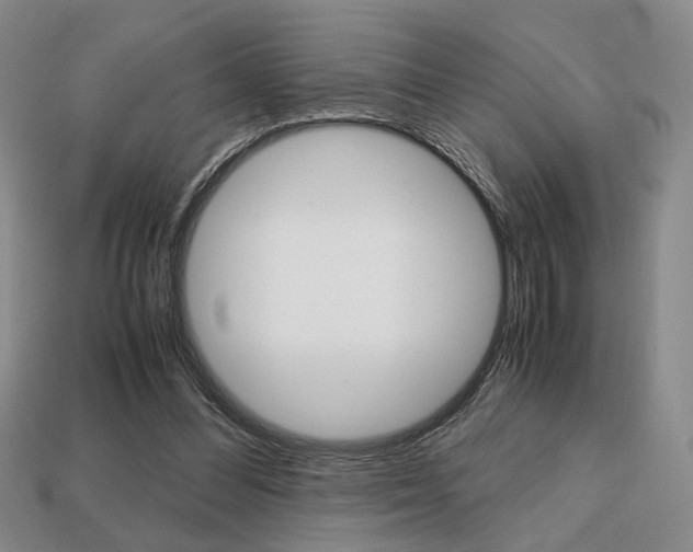 X0000113850300200909241011