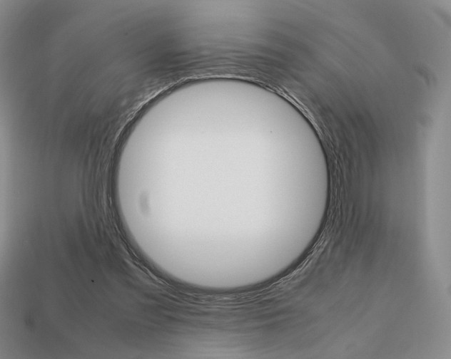 X0000113850301200909241011