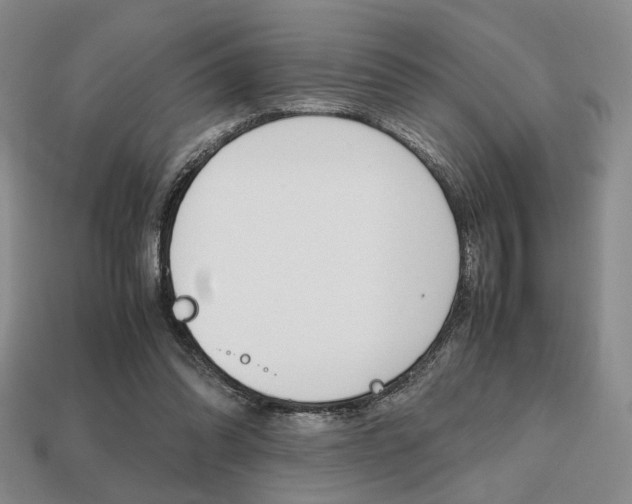 X0000113850302200909241011