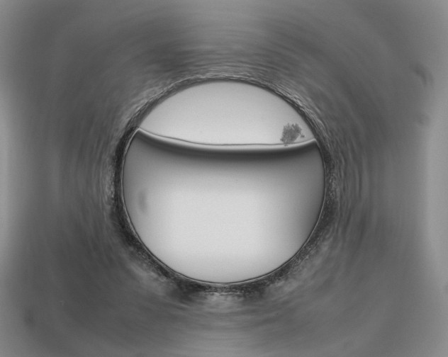 X0000113850303200909241011