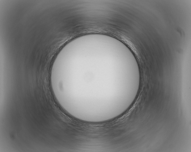 X0000113850305200909241011