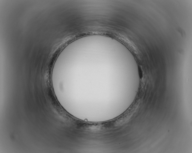 X0000113850306200909241011