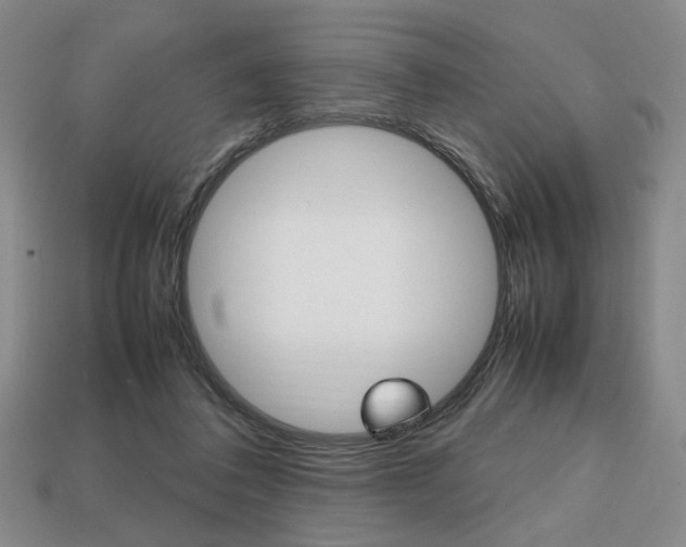 X0000113850308200909241011