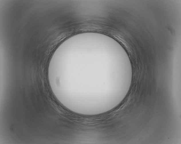 X0000113850309200909241011