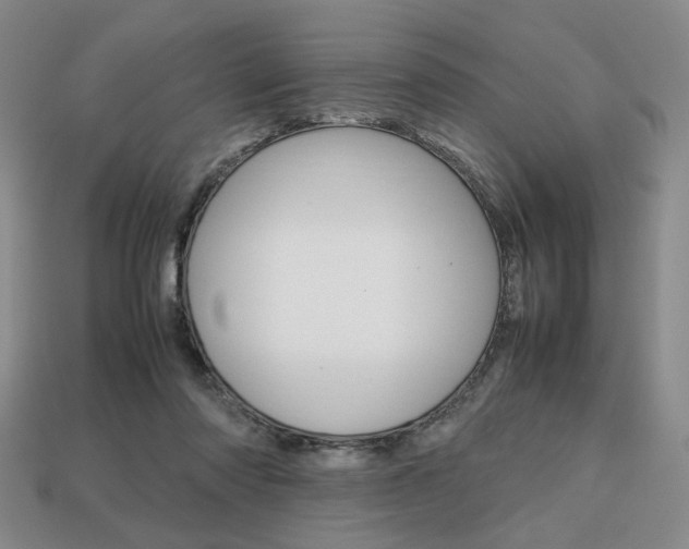 X0000113850310200909241011