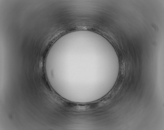 X0000113850314200909241011