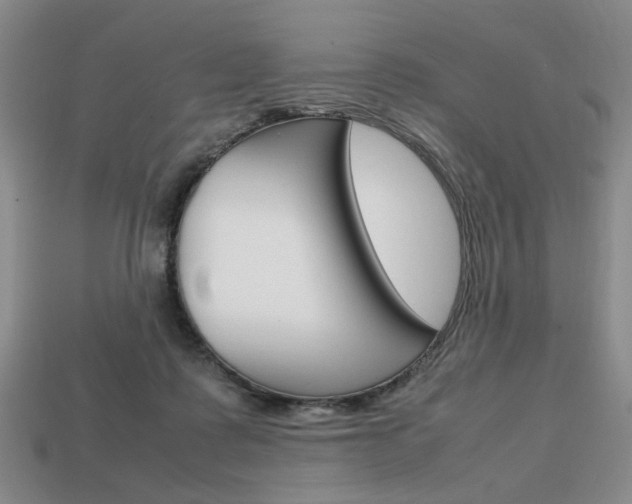 X0000113850315200909241011