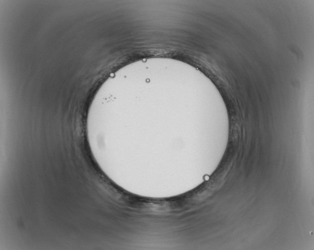 X0000113850317200909241010