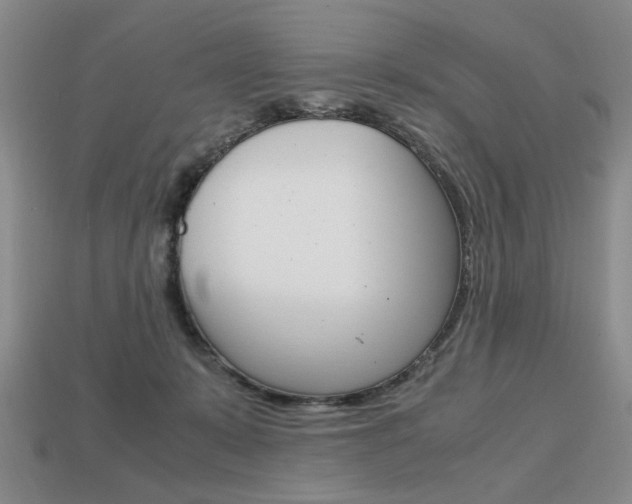 X0000113850319200909241010