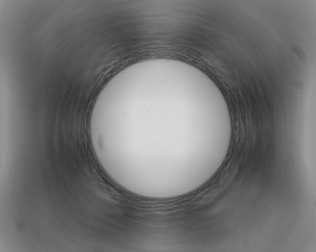 X0000113850320200909241010