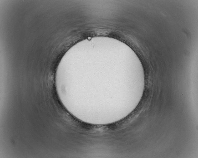 X0000113850321200909241010