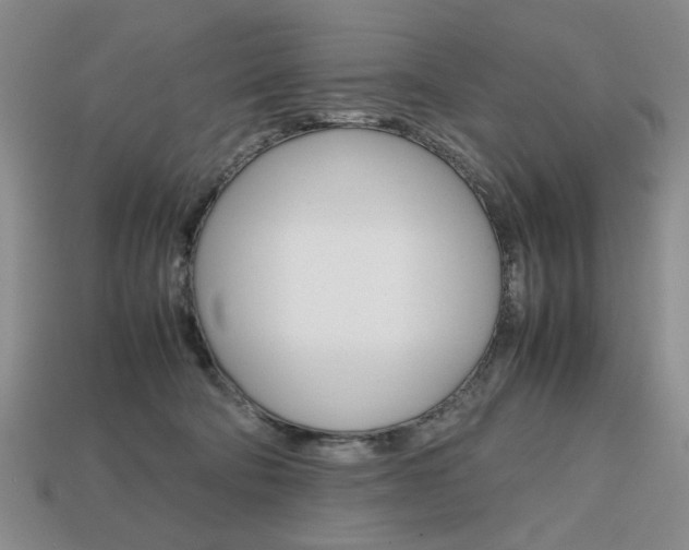 X0000113850322200909241010