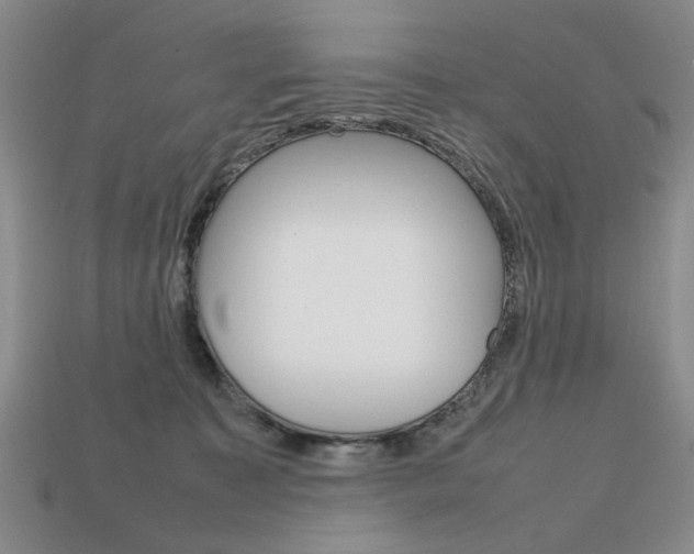 X0000113850323200909241010