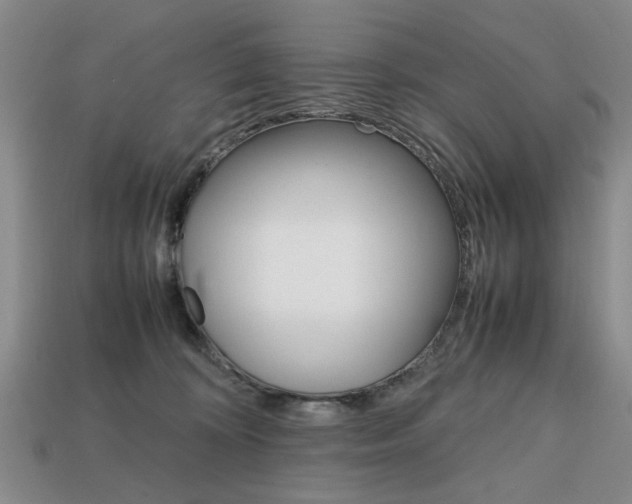 X0000113850324200909241010