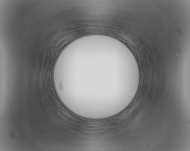 X0000113850325200909241010