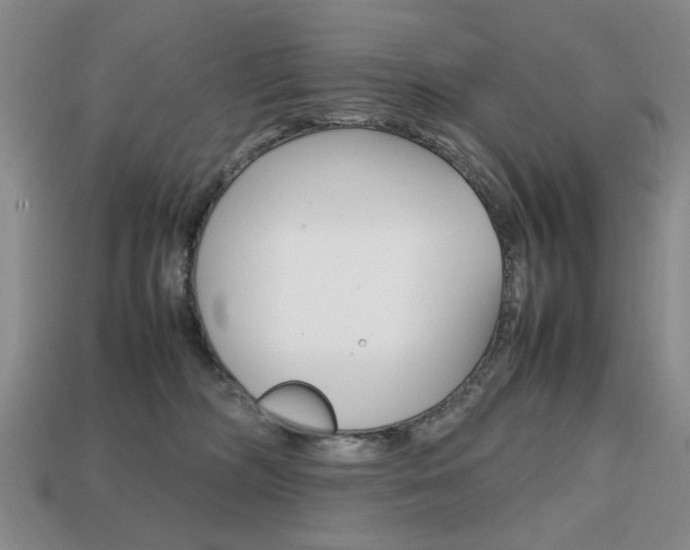 X0000113850326200909241010