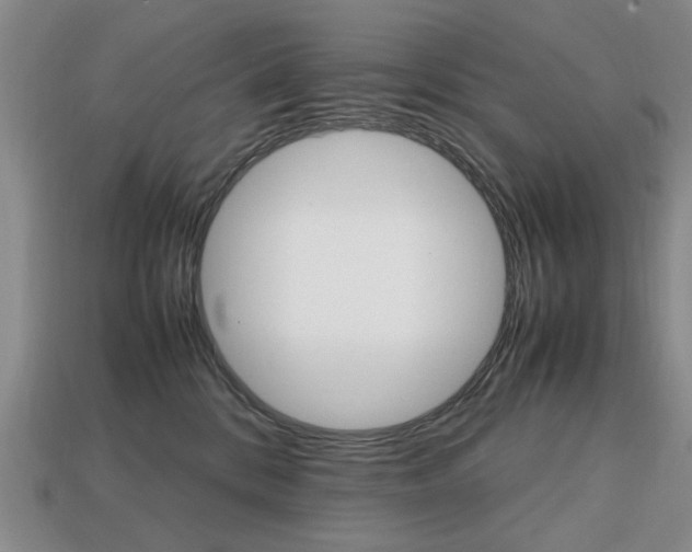 X0000113850328200909241010