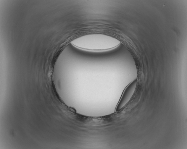 X0000113850329200909241010