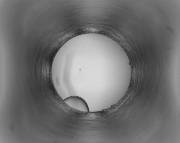 X0000113850330200909241010