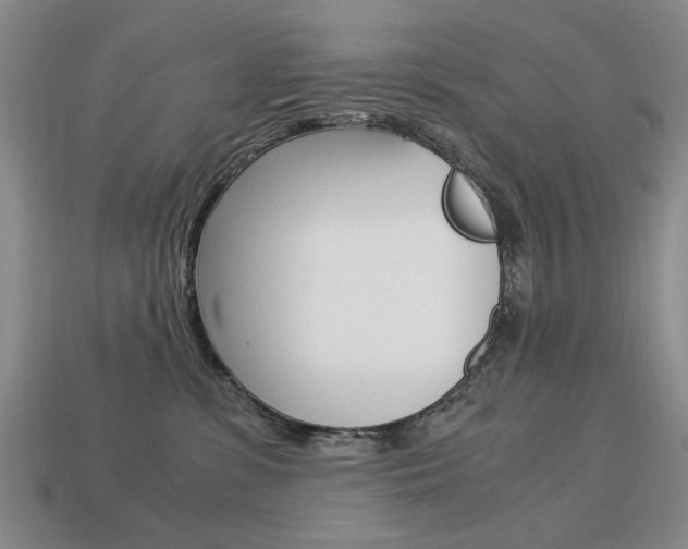 X0000113850331200909241010