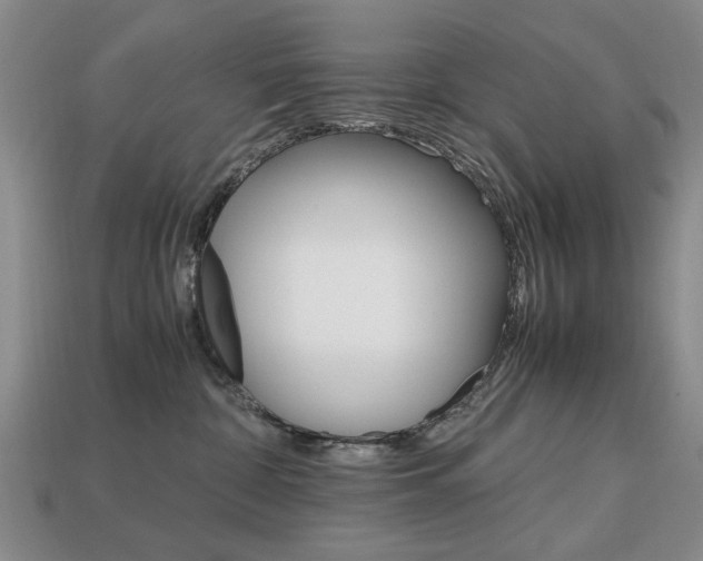 X0000113850332200909241010