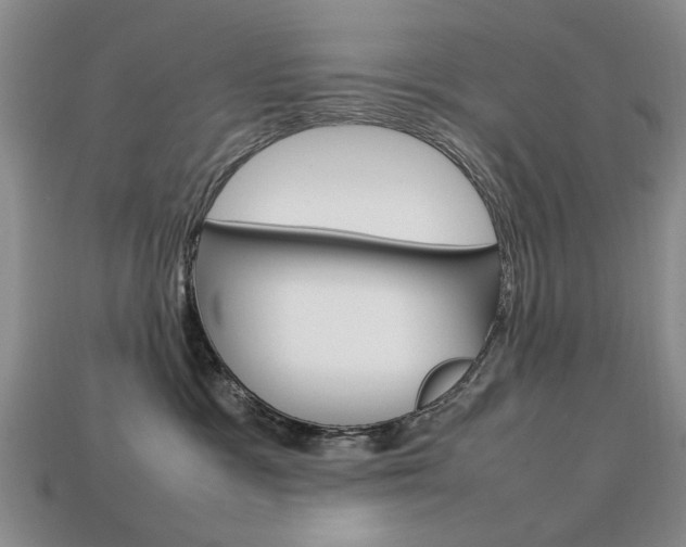 X0000113850333200909241010