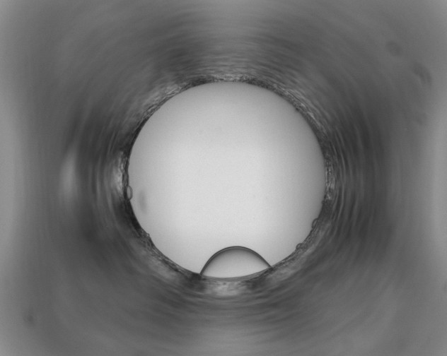 X0000113850334200909241010