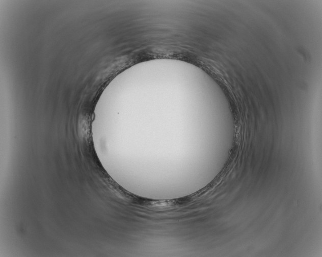 X0000113850335200909241010