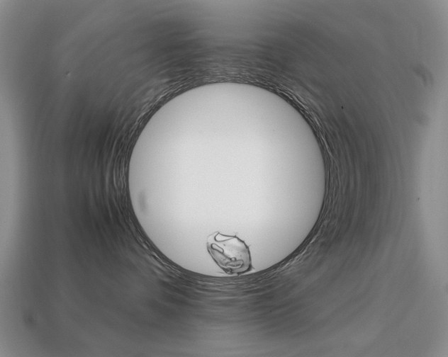 X0000113850336200909241010