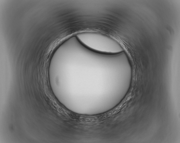 X0000113850337200909241010