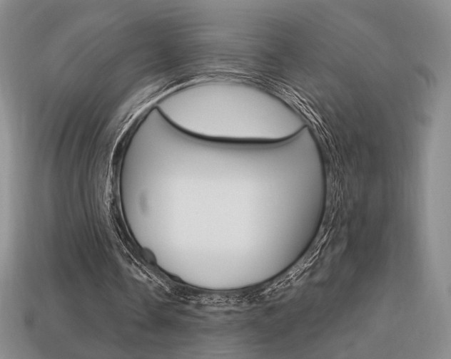 X0000113850338200909241010