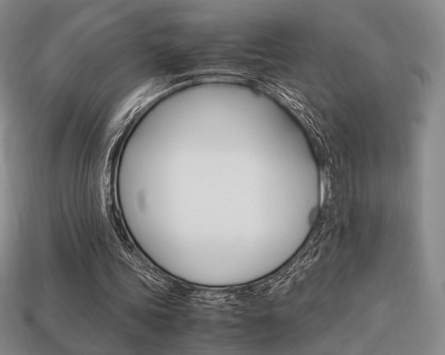 X0000113850339200909241010