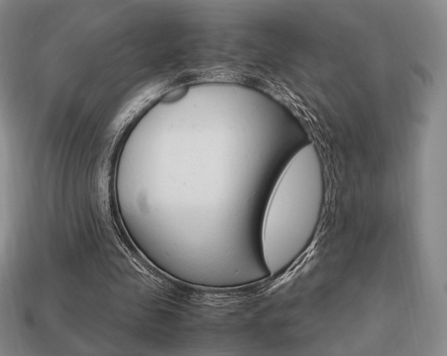 X0000113850341200909241010