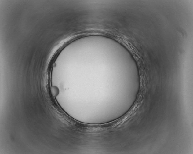 X0000113850342200909241010